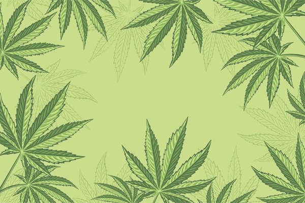 Actu Cbd
